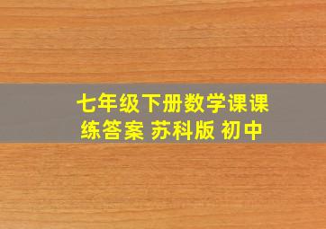 七年级下册数学课课练答案 苏科版 初中